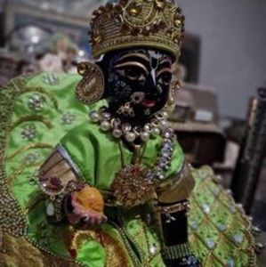 Meet your Posher, Tregy